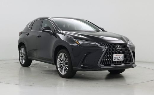 2025 Lexus NX 350 Luxury