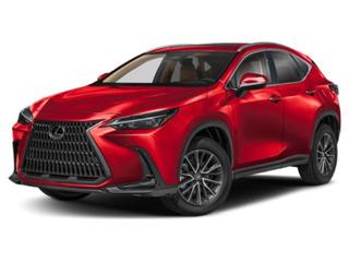 2026 Lexus NX Luxury