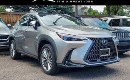 2024 Lexus NX 350H Luxury