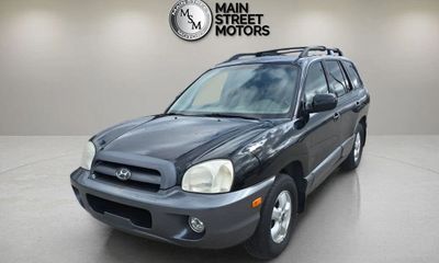 2006 Hyundai Santa FE SM