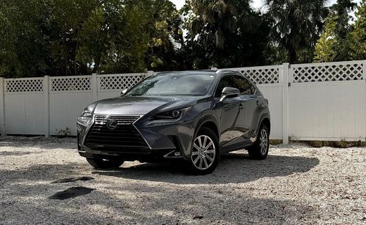 2020 Lexus NX