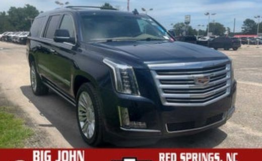 2019 Cadillac Escalade ESV Platinum