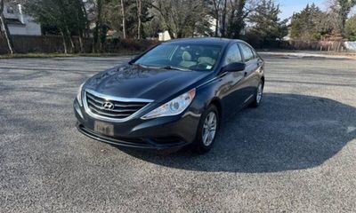 2011 Hyundai Sonata Level