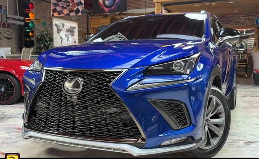 2019 Lexus NX 300 Luxury