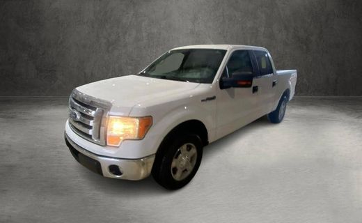 2010 Ford F-150 Styleside