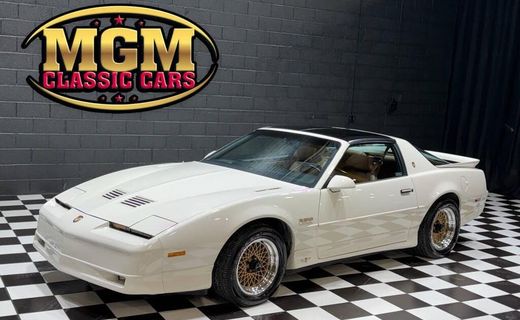 1989 Pontiac Firebird Trans AM