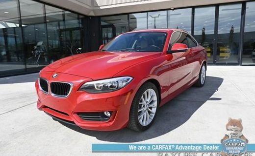2015 BMW 228I