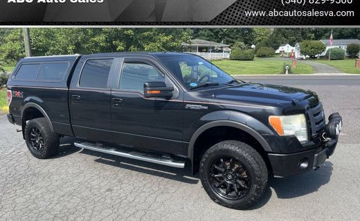 2010 Ford F-150 Styleside