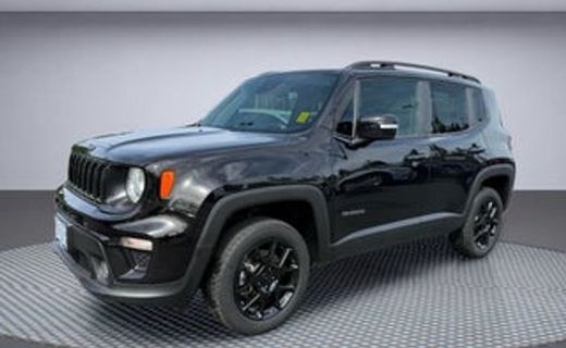 2019 Jeep Renegade