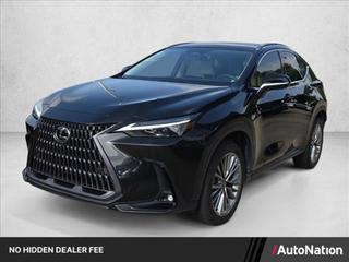2025 Lexus NX 350 Luxury