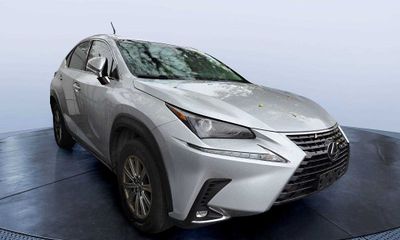 2019 Lexus NX 300 Luxury