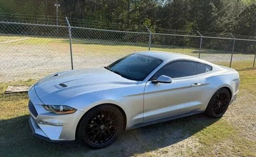 2019 Ford Mustang