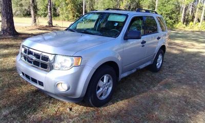 2009 Ford Escape XLT
