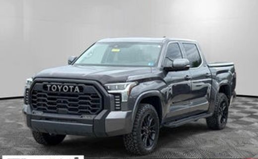 2023 Toyota Tundra Platinum
