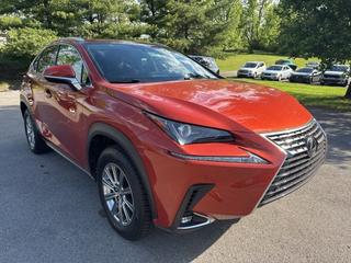 2021 Lexus NX 300 Comfort