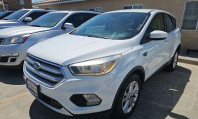 2019 Ford Escape SE