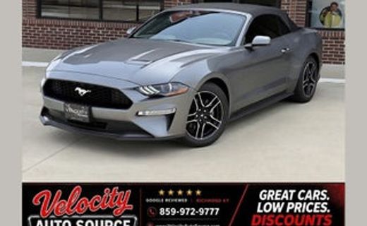 2019 Ford Mustang