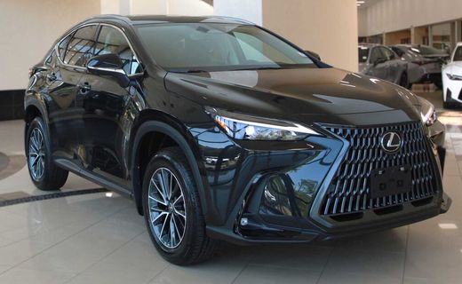 2026 Lexus NX Luxury