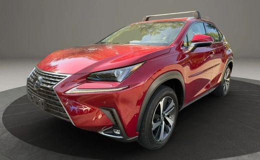 2019 Lexus NX 300 Luxury