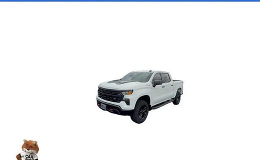 2022 Chevrolet Silverado Trail Boss Custom