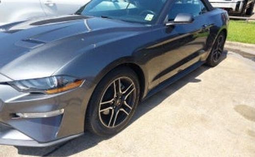 2019 Ford Mustang