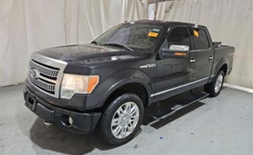 2010 Ford F-150 Styleside