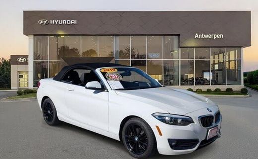 2019 BMW 230i