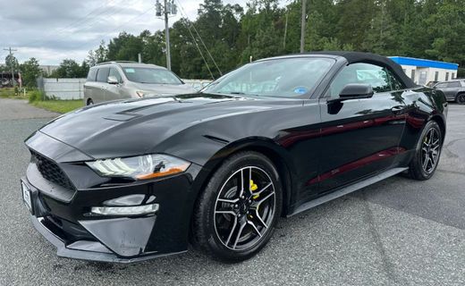 2019 Ford Mustang