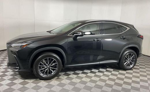 2024 Lexus NX 350 Luxury