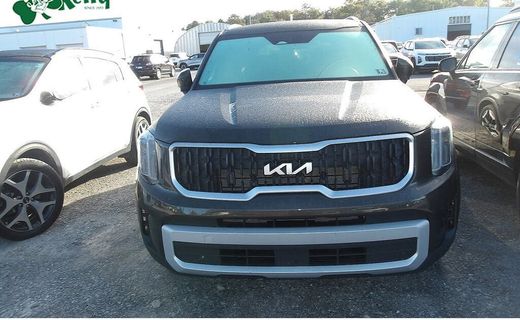 2023 Kia Telluride