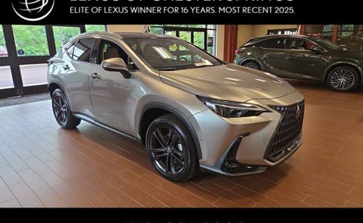 2025 Lexus NX Luxury