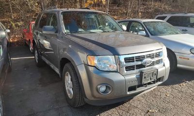 2010 Ford Escape XLT