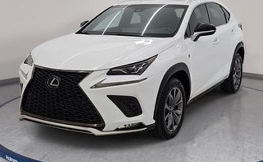 2019 Lexus NX 300 Luxury