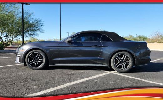 2019 Ford Mustang