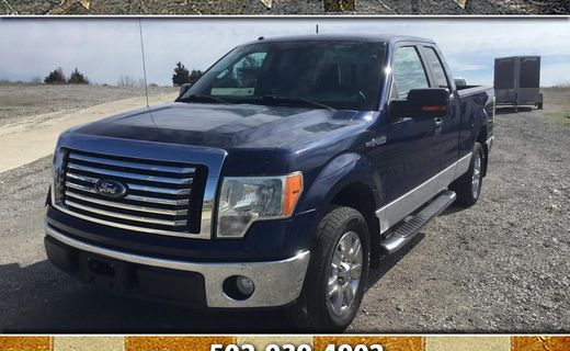 2010 Ford F-150 Styleside