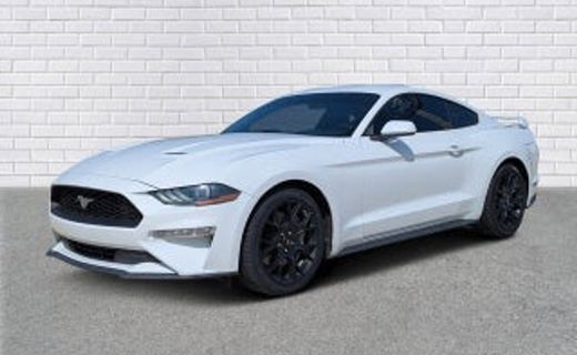 2019 Ford Mustang