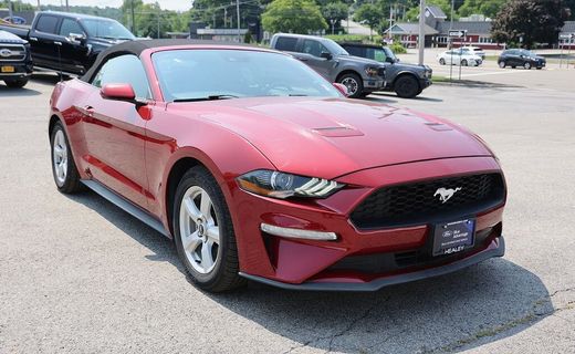 2019 Ford Mustang