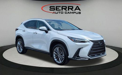 2025 Lexus NX 350 Luxury
