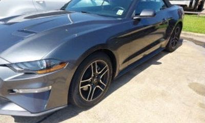 2019 Ford Mustang