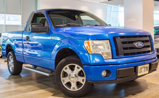 2009 Ford F-150 STX