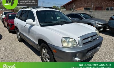 2006 Hyundai Santa FE SM