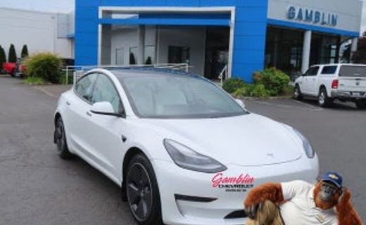 2021 Tesla Model 3 Standard Range Plus