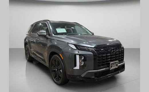 2025 Hyundai Palisade XRT