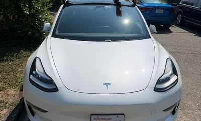 2020 Tesla Model 3 Long Range