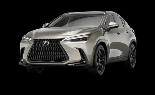 2026 Lexus NX Luxury