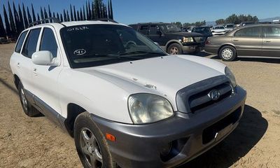 2005 Hyundai Santa FE GLS