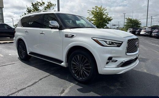 2024 Infiniti QX80 Premium