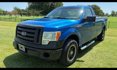 2010 Ford F-150 Styleside