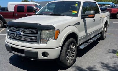 2010 Ford F-150 Styleside