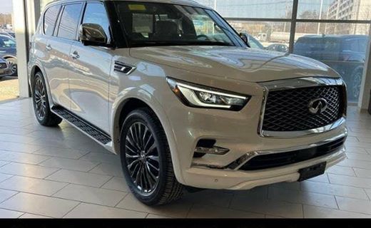 2023 Infiniti QX80 Premium